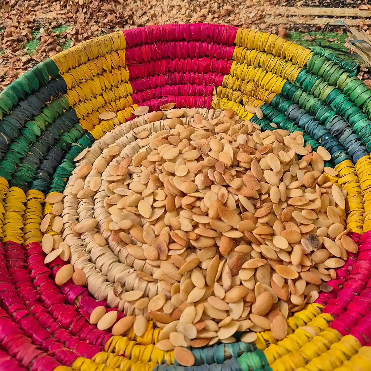 atelier priv argan essaouira 03 2