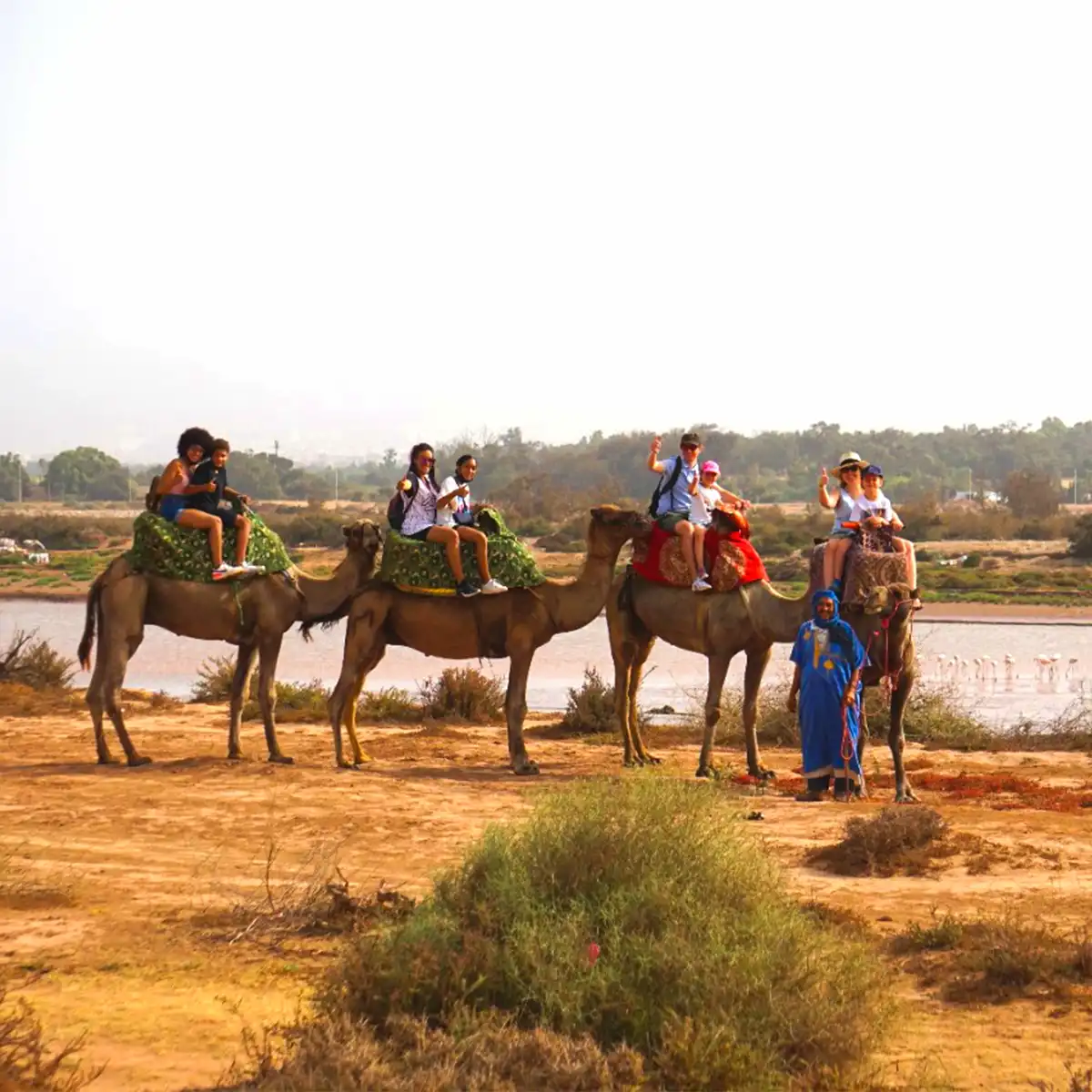 excursion Balade dromadaire Agadir 1