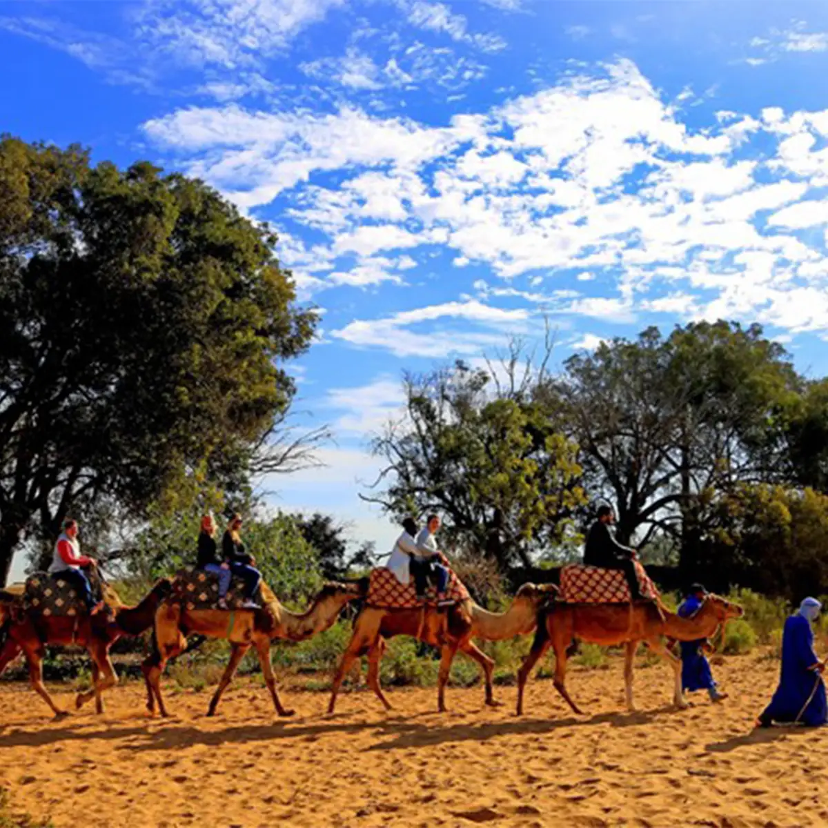 excursion Balade dromadaire Agadir 2