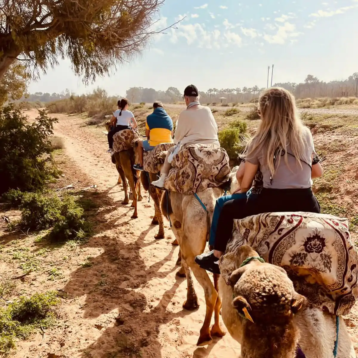Balade à dos de dromadaire au Souss-Massa