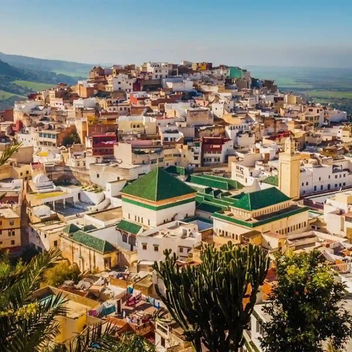 Villes Impériales et Sahara : Le Grand Circuit Incontournable du Maroc