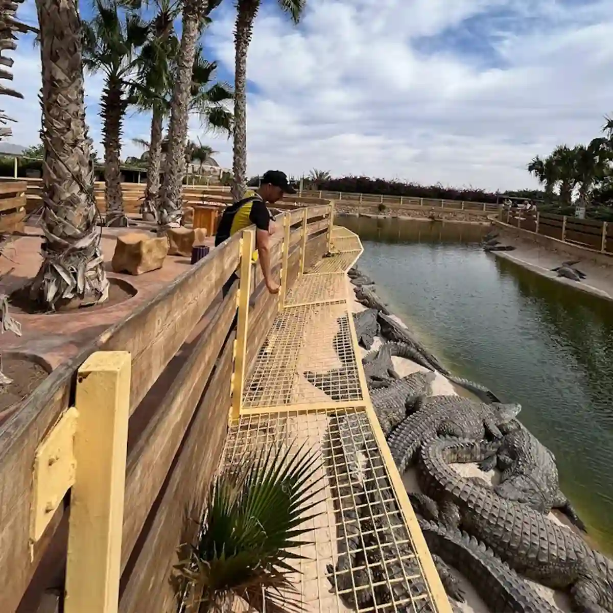 excursion croco parc agadir 16