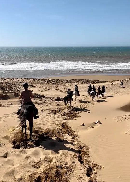 cheval essaouira azrou 1
