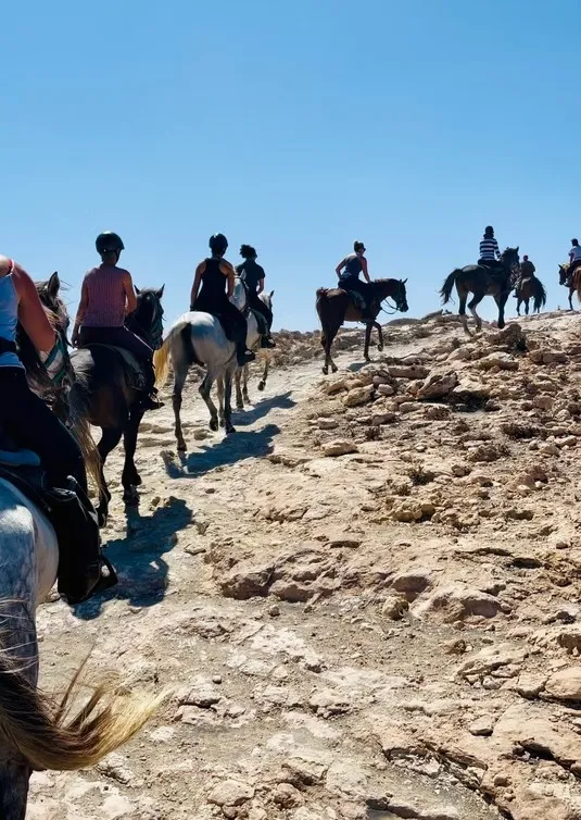 cheval essaouira azrou 3
