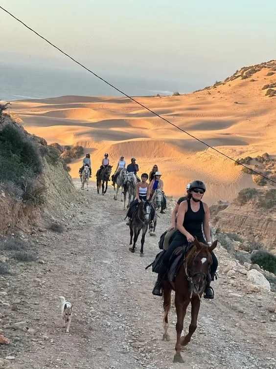 cheval essaouira azrou 4
