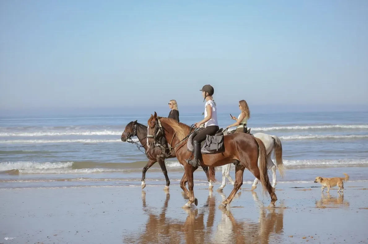 Essaouira : Randonnée Équestre en mode bivouac sur la Côte Atlantique