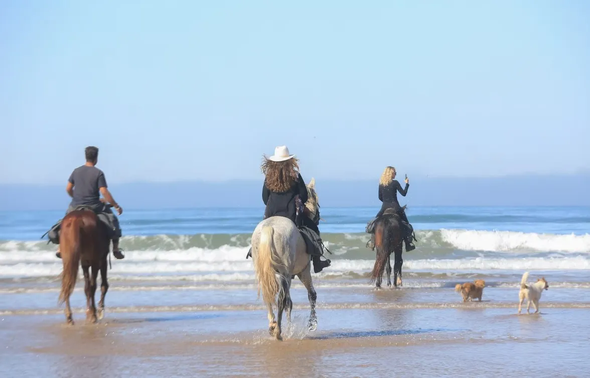 Essaouira : Randonnée Équestre sur la Côte Atlantique