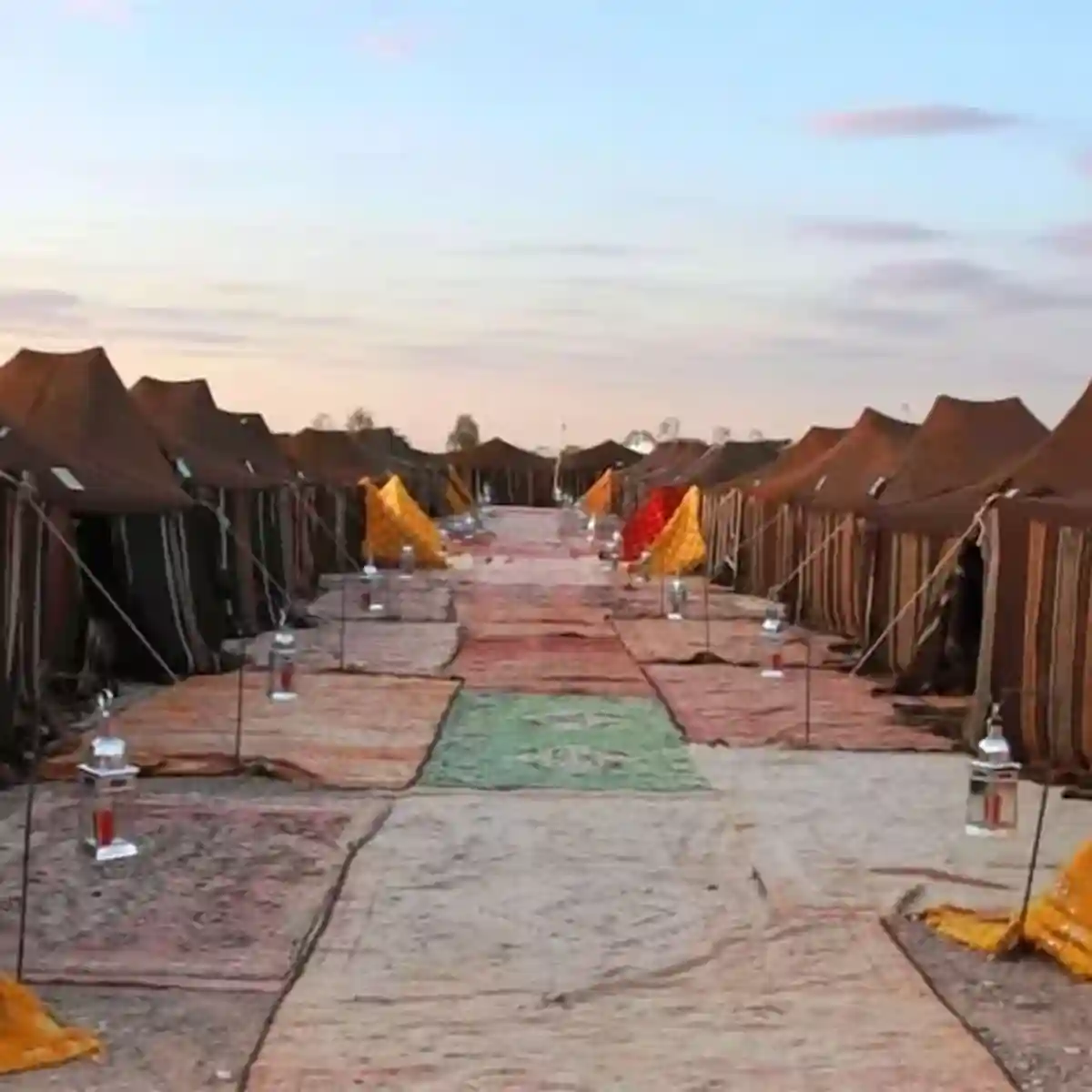 excursion mini sahara resmouka