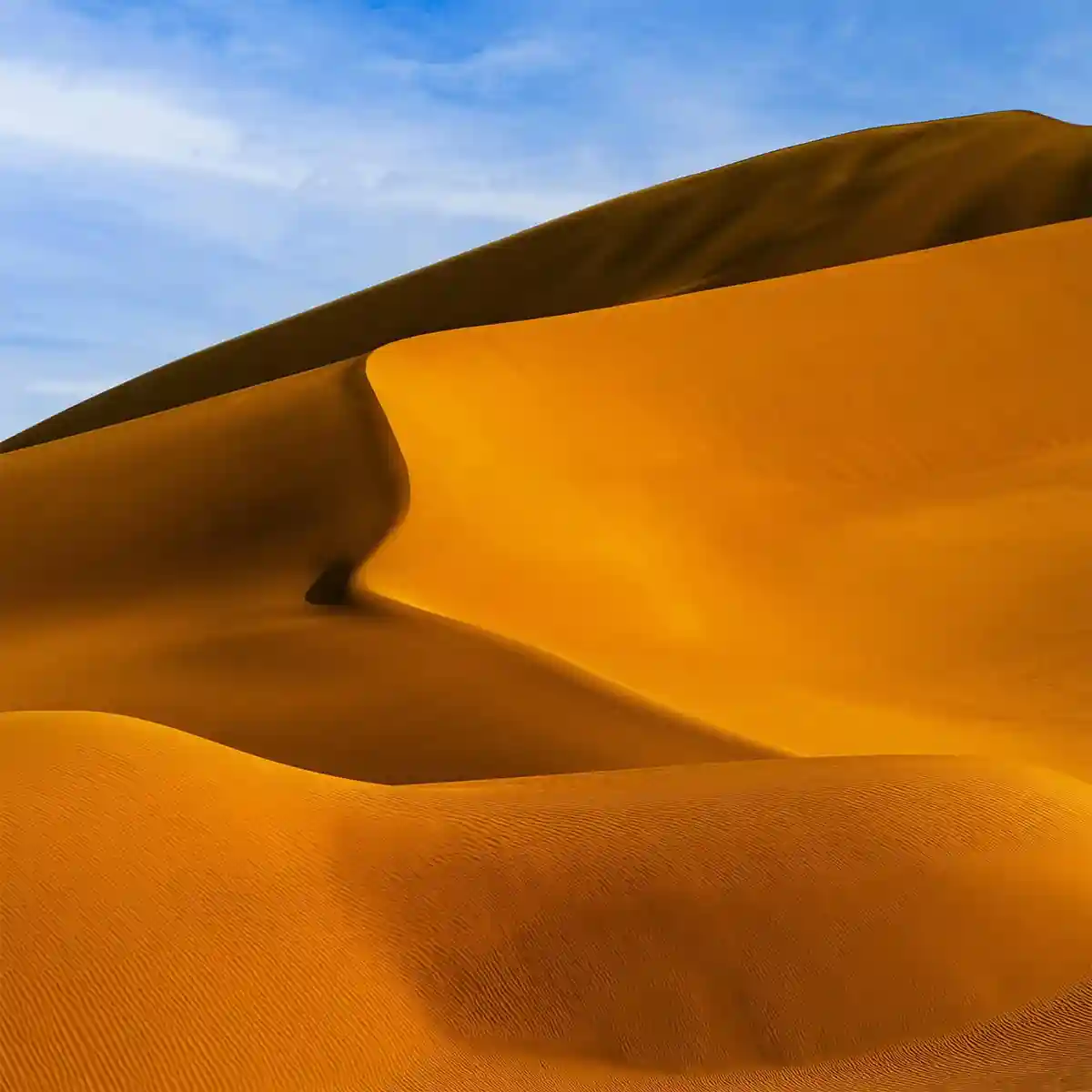 excursion mini sahara resmouka 15