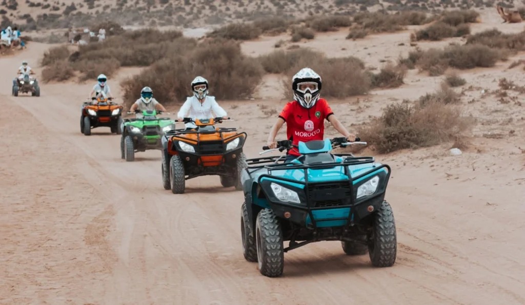 Timlaline Desert Quad 1