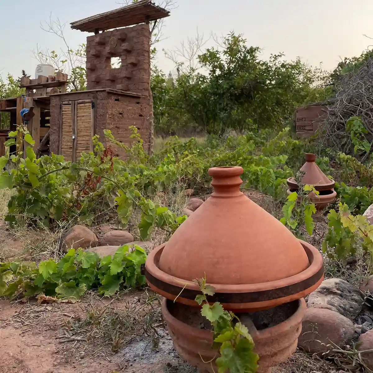 Immersion en éco-ferme : Atelier Cuisine et Briques de terre