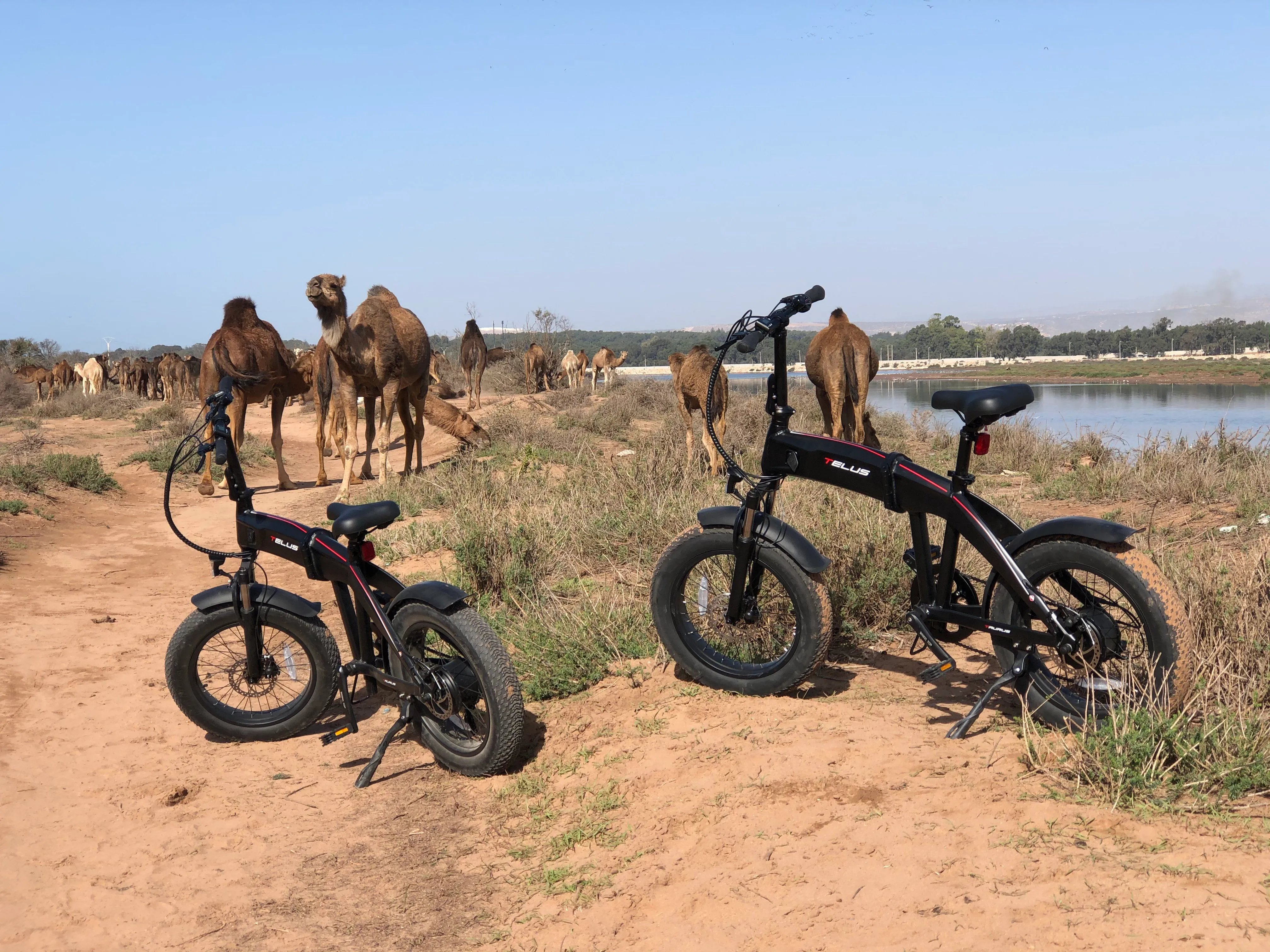Tour e-Bike : découverte du Parc National Souss Massa