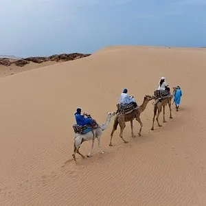 timlaline balade chameau 4