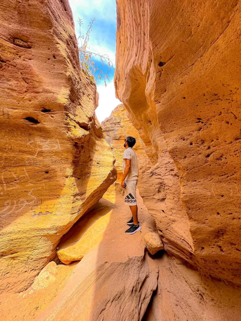 Timlaline: the escape to the ocean canyon