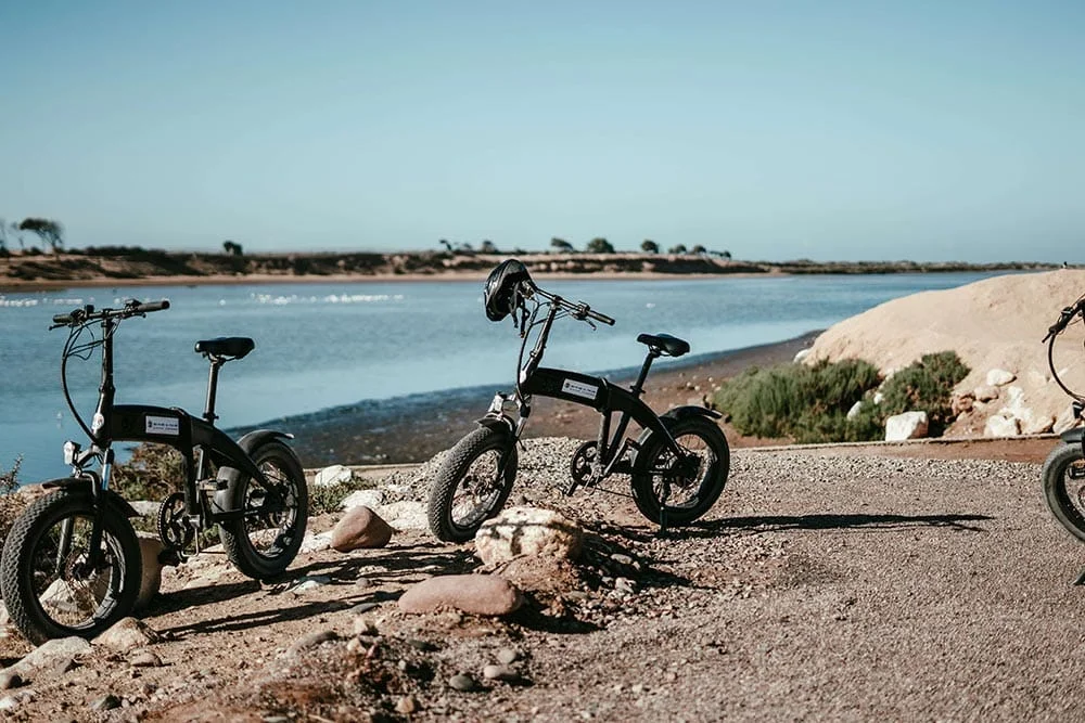 Excursion eBike à Oued Souss Massa Agadir : Nature et Aventure en Vélo