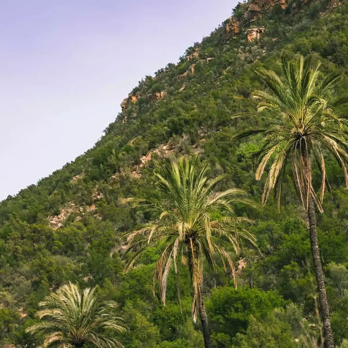excursion randonnee journ e 10km agadir