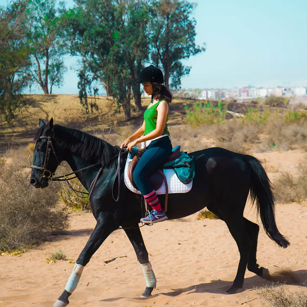 Randonnée Équestre en immersion au coeur de la reserve Souss Massa