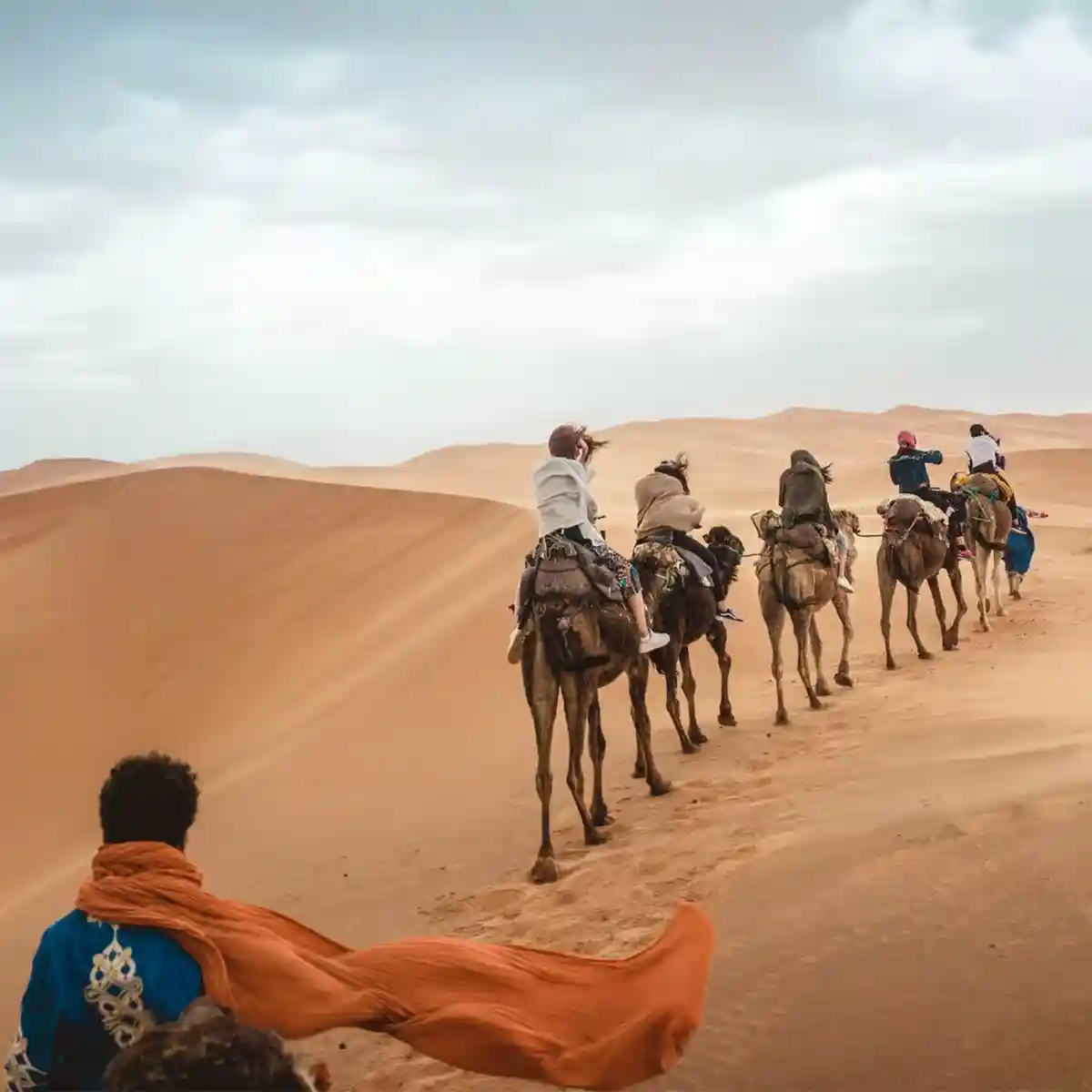 Splendeurs du Maroc : la Grande Traversée Saharienne