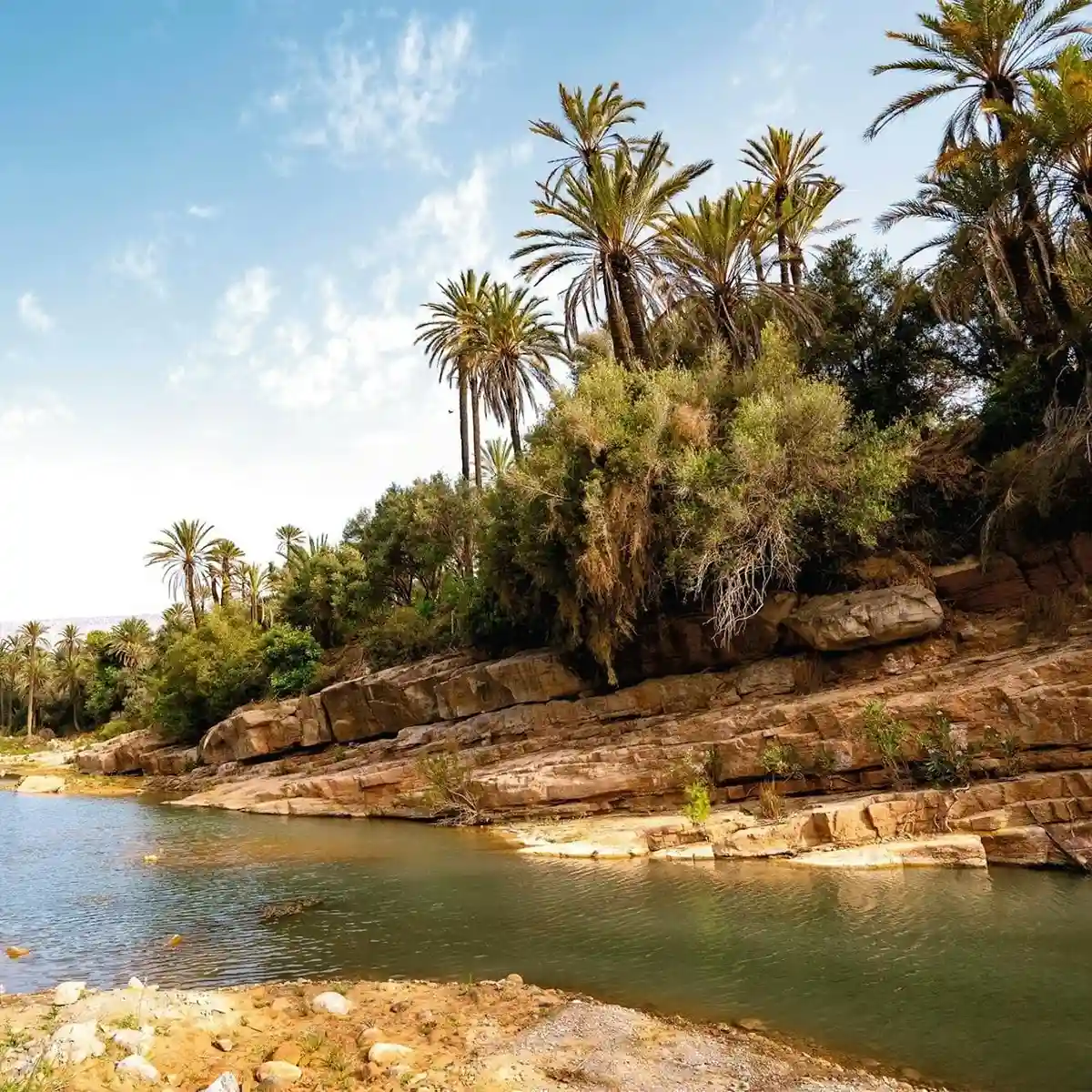 excursion tiout taroudant 14