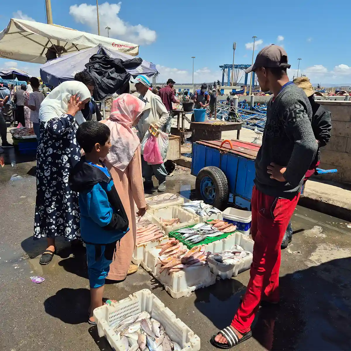 visite guidee medina Port P che essaouira 04